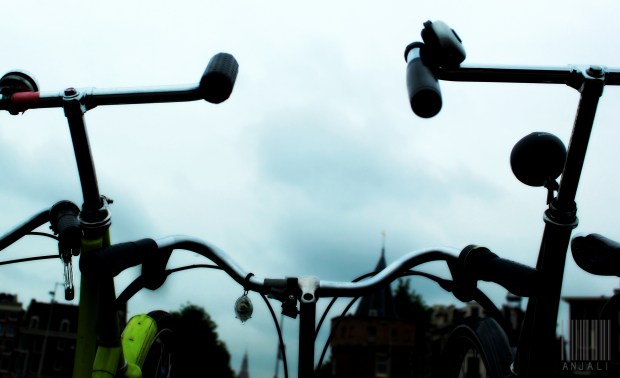 they have seen city as none have..they know the rhythm of the roads, time the bridges move up, to the holes of the little mice near the canal side