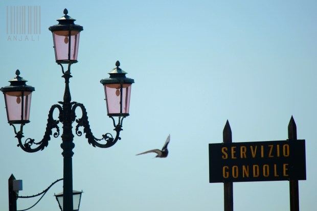 rising high..it lured the new eyes into the gondolas..