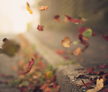 6b554abc226a64d19520c780a3f2da9d_m